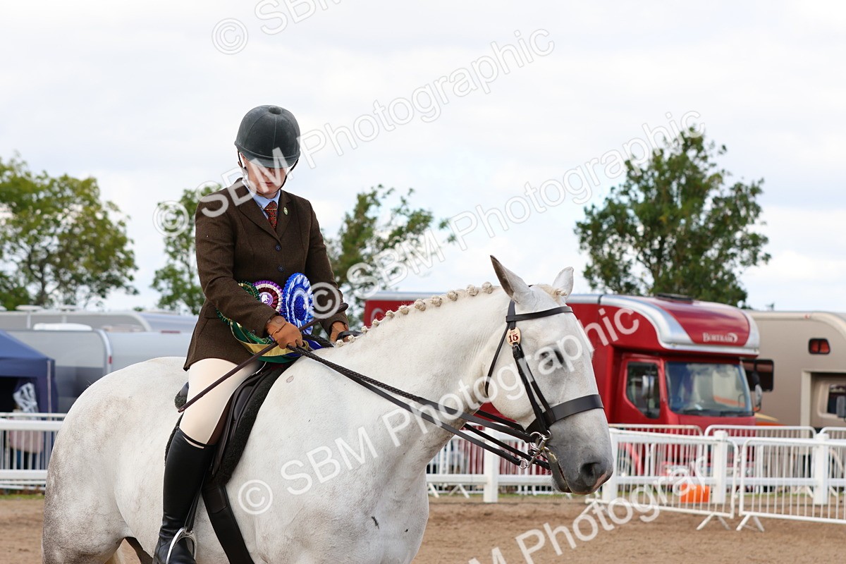 SBM_13581 - Class 212 - Ridden Hunter  - Large