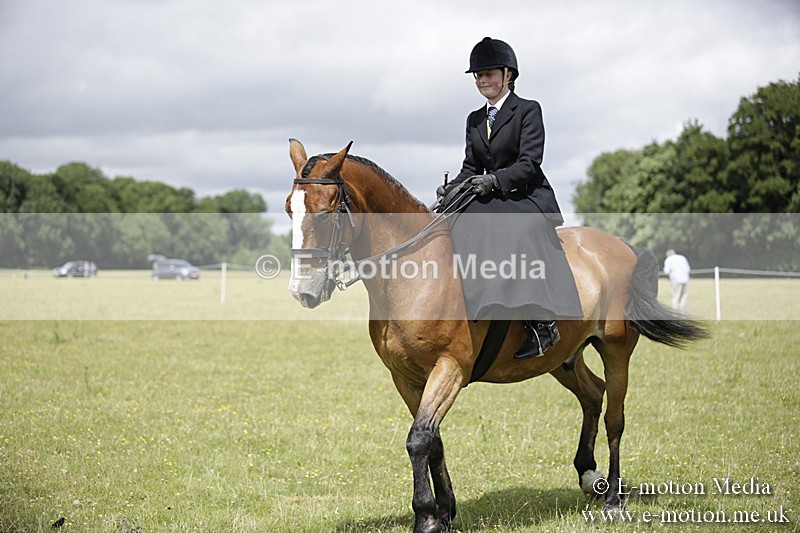 BVR160717-1997 - Side Saddle Classes 16/07/17