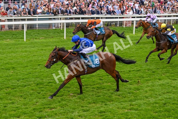 250524-Race 5-Burdett-3974 - Race 5 3.55pm William Hill Epic Boost Handicap