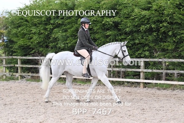 BPP_7467 - RING 1  (RIDDEN HORSES / IN HAND / VETERAN ETC)