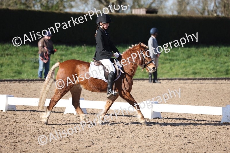 20260214-0368 - Class 4 - Novice 2