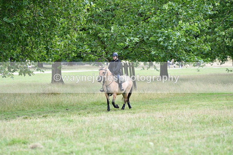 WJ5_1610 - Time at Jump 13:04 to 14:02