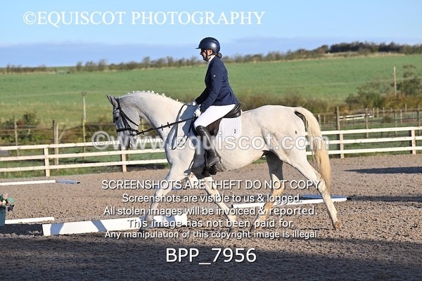 BPP_7956 - LONG ARENA