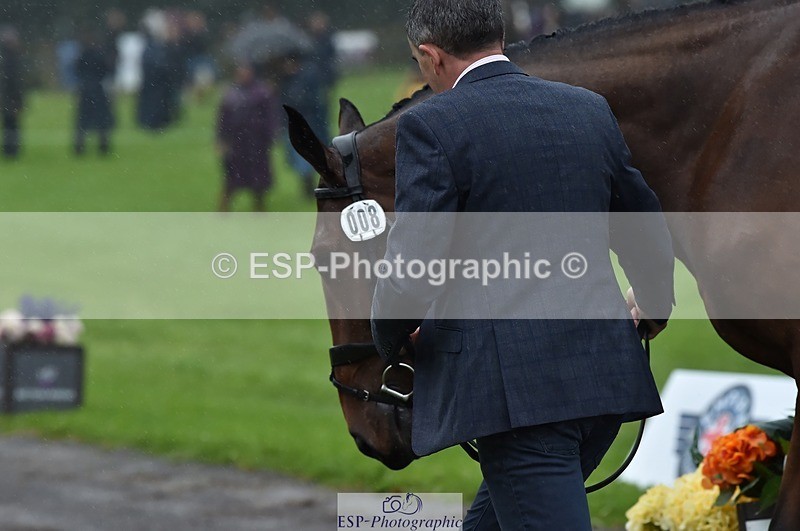 231018-120542-00077 - 008-CECEIA.DE.MUZE-Alan.Nolan-TrotUp