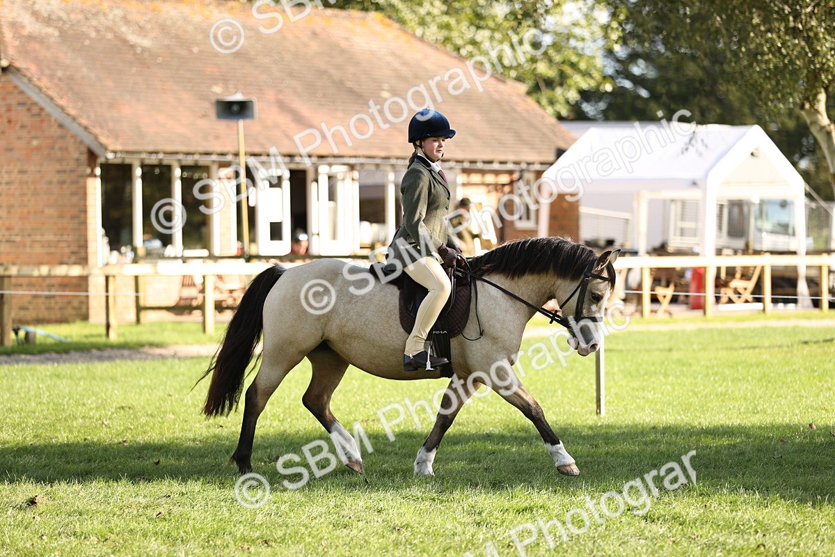 SBM_29311 - S7 - Novice & Newcomers Ridden Pony