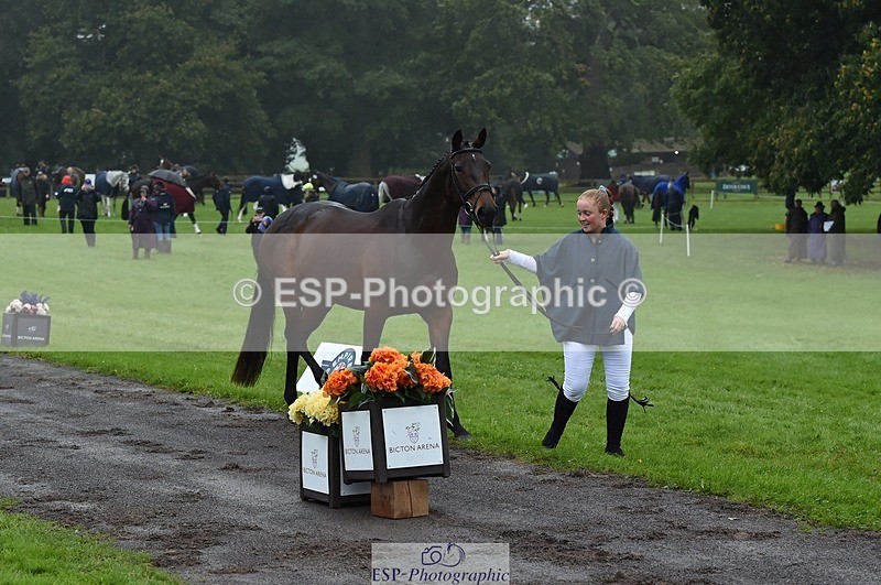 231018-120722-00089 - 009-FUTURE.GRAVITIE-Gini.Hope-TrotUp