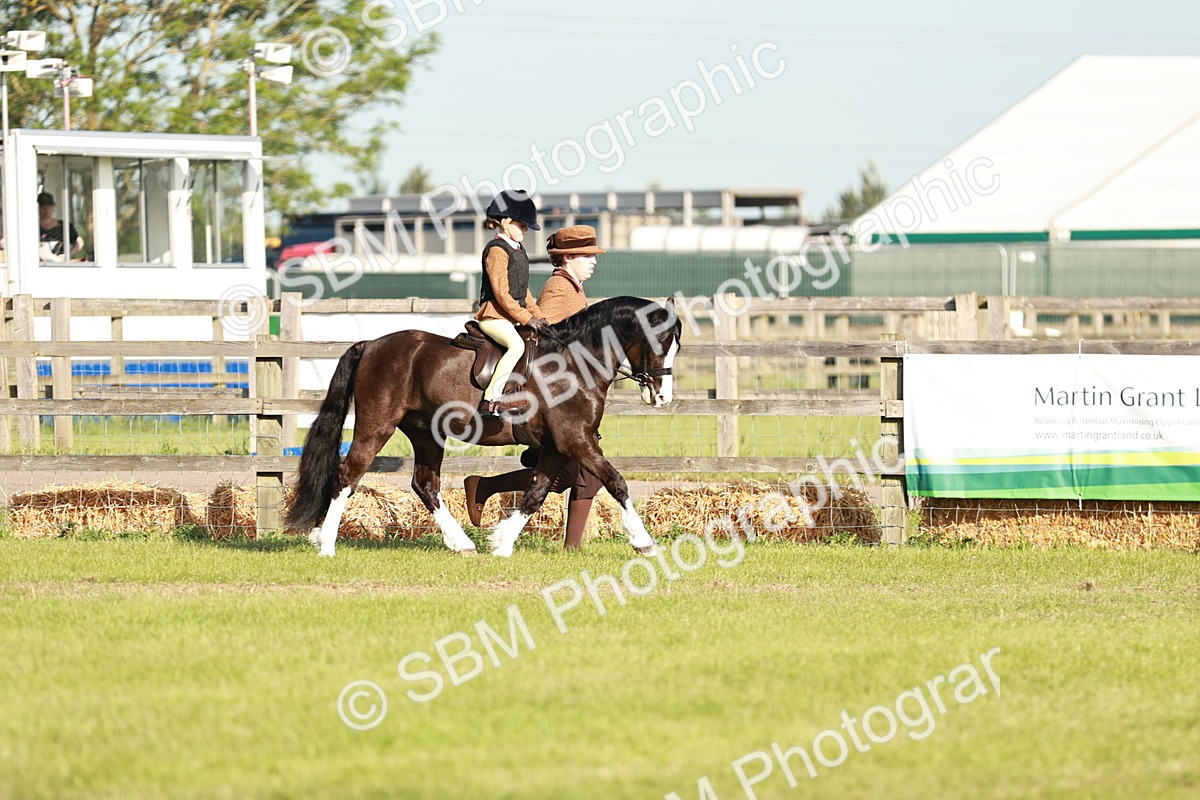 SBM_11047 - Class 106-107 - BSPS LIHS Working Sports Pony