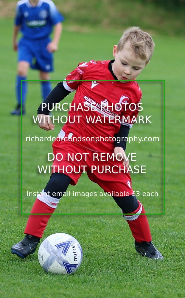 IMG_5358 - Wattsfield Under 8 vs Ibis Under 8 (12/10/24)