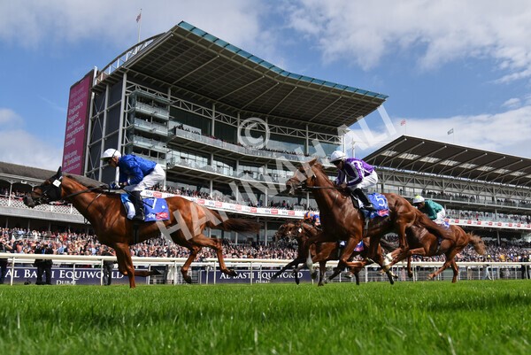 yr18082021r3-85 - Race 3 3.00pm Sky Bet Great Voltigeur Stakes