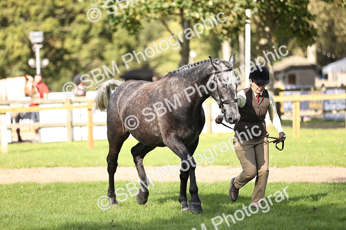 SBM_26269 - S5 - Novice & Newcomers In Hand
