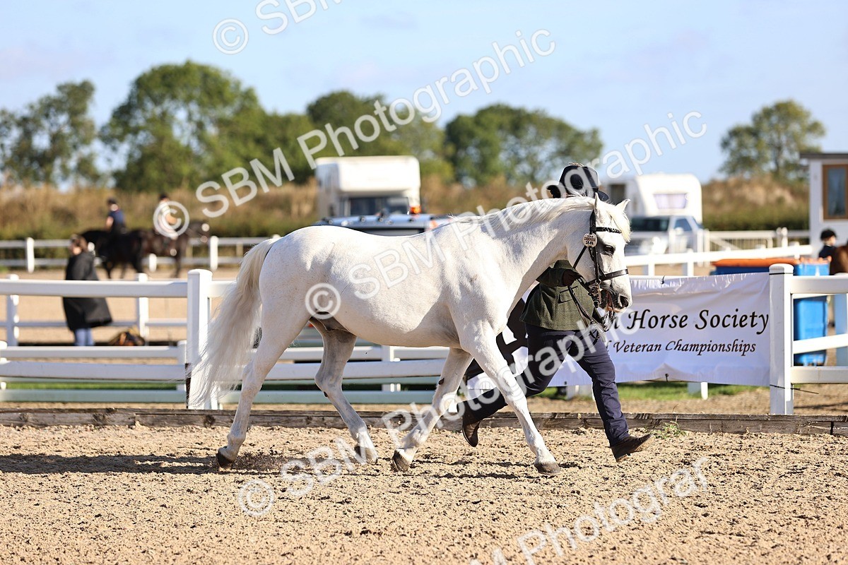 SBM_08426 - Class 402 - IH Veteran Pony