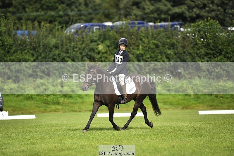 230826-095115-15260 - Sections C & D 9 to 10am