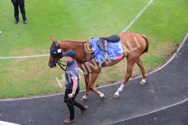 yr23072022r1-25 - Race 1 2.05pm Sky Bet Jump Jockeys Nunthorpe