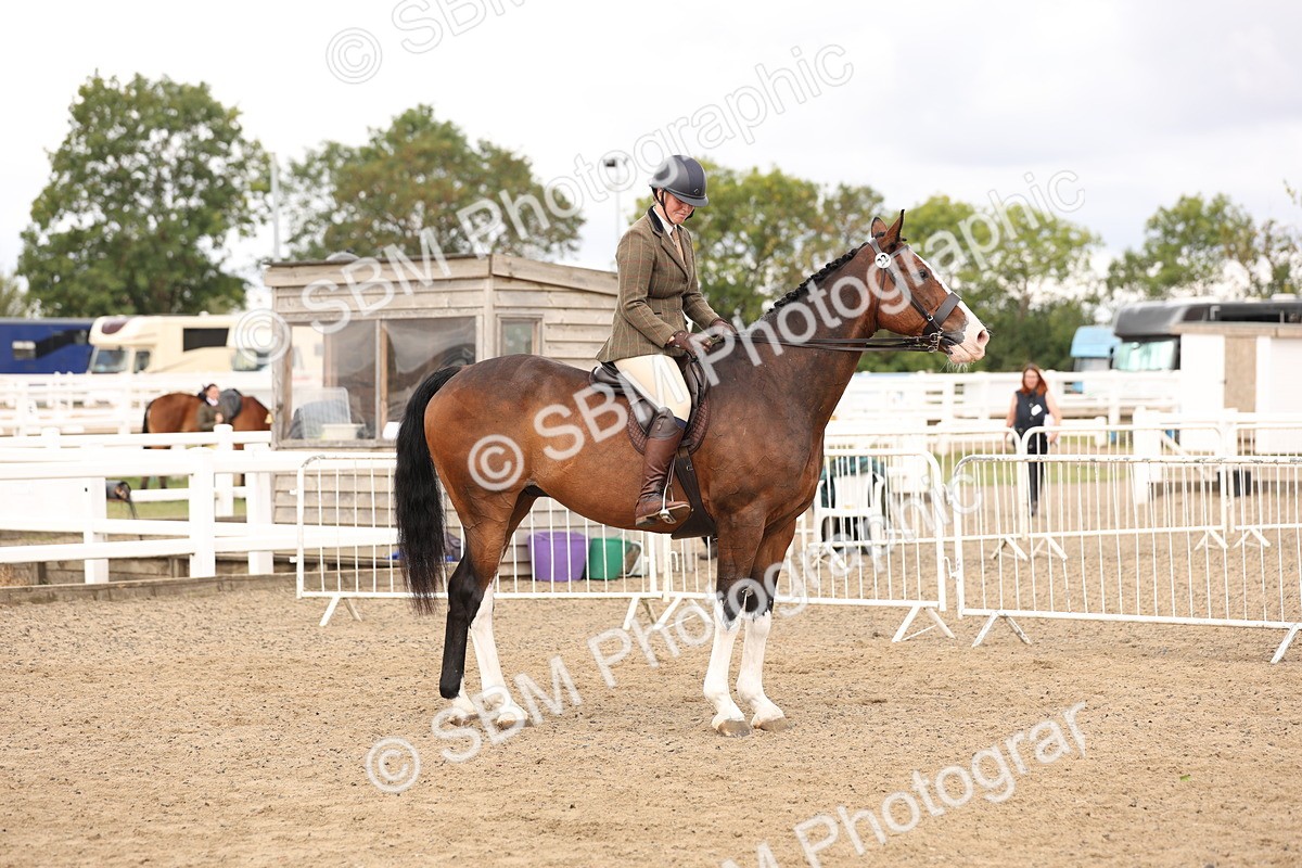 SBM_02879 - Class 53 - Ridden Competition Horse/Pony