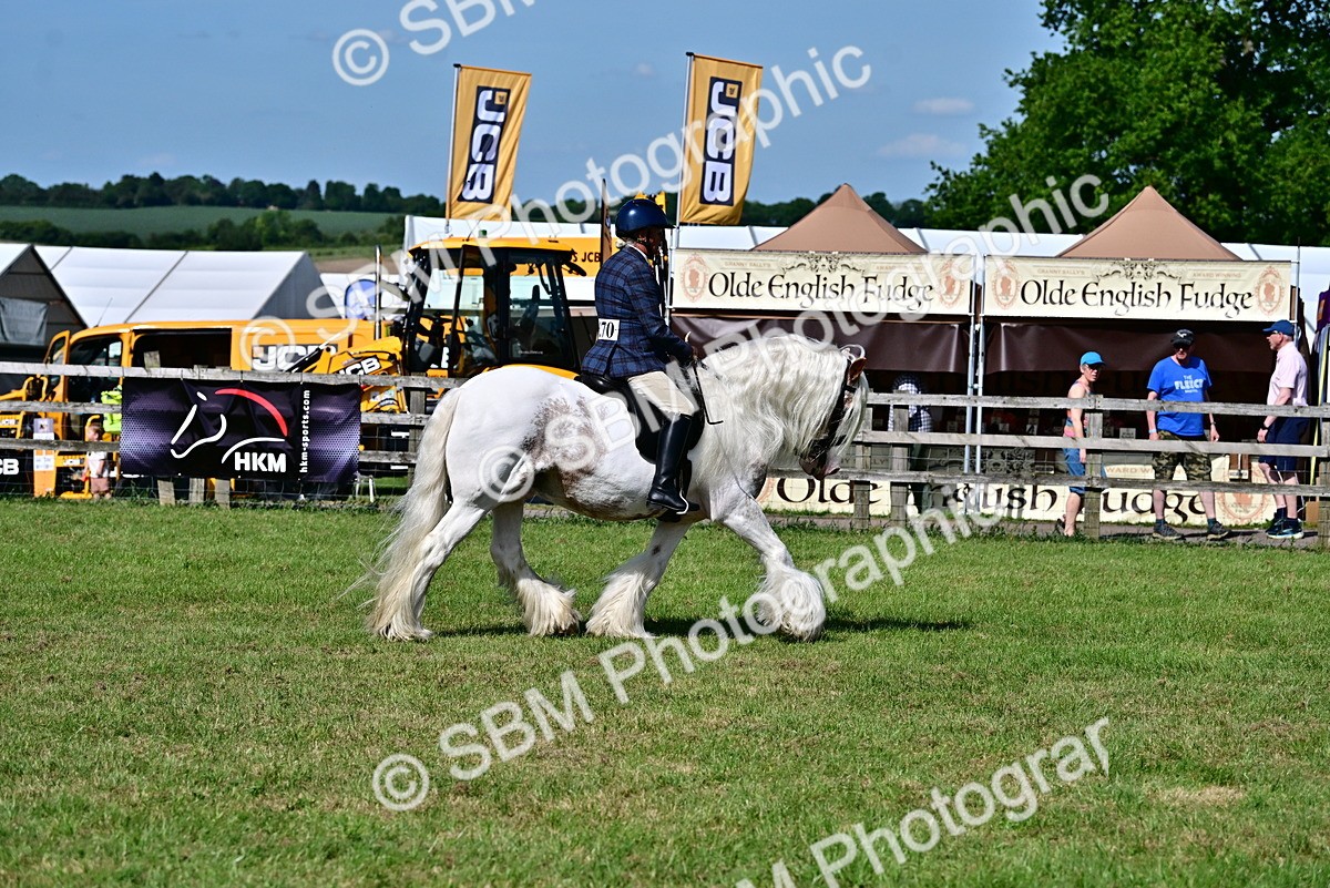 SBM_09394 - Class 63-65 - Traditional Gypsy Cobs In Hand & Ridden