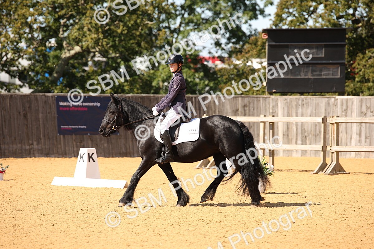 SBM_24172 - D5 - Small Tour Championship - Intro C