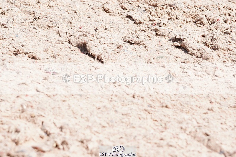 250510-131256-11397 - Cls 15 Prestige Big Star Quali  2nd Jump Off