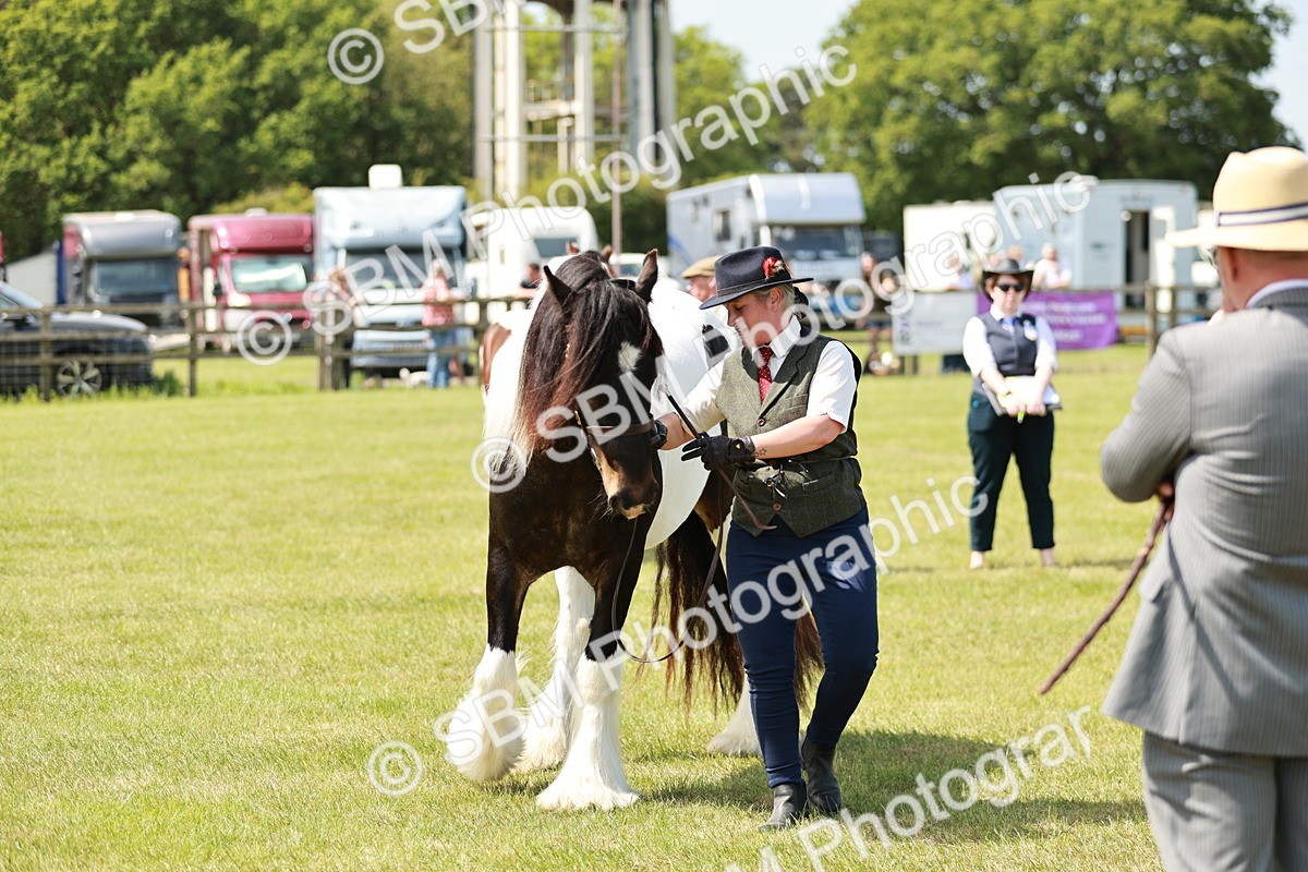 SBM_04161 - Class 39-40 - BSPA Coloured In Hand