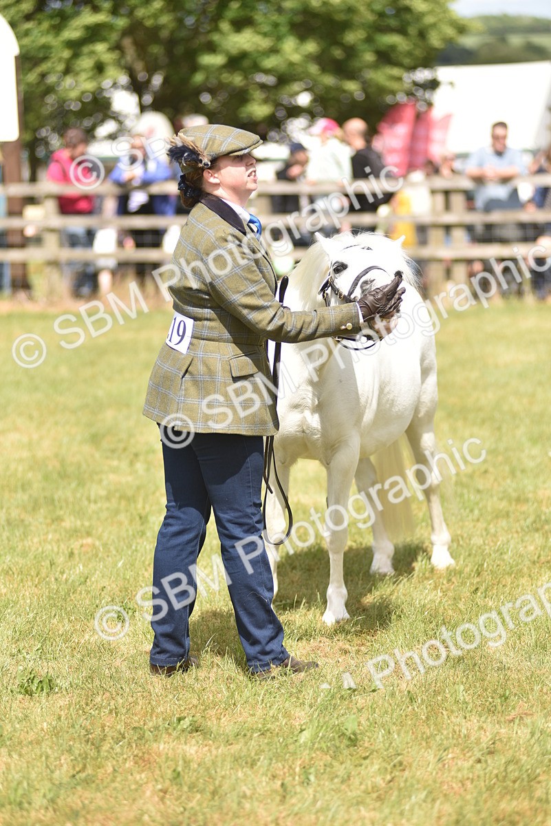 SBM_16066 - Class 117-122 - SSADL RIHS Qualifier