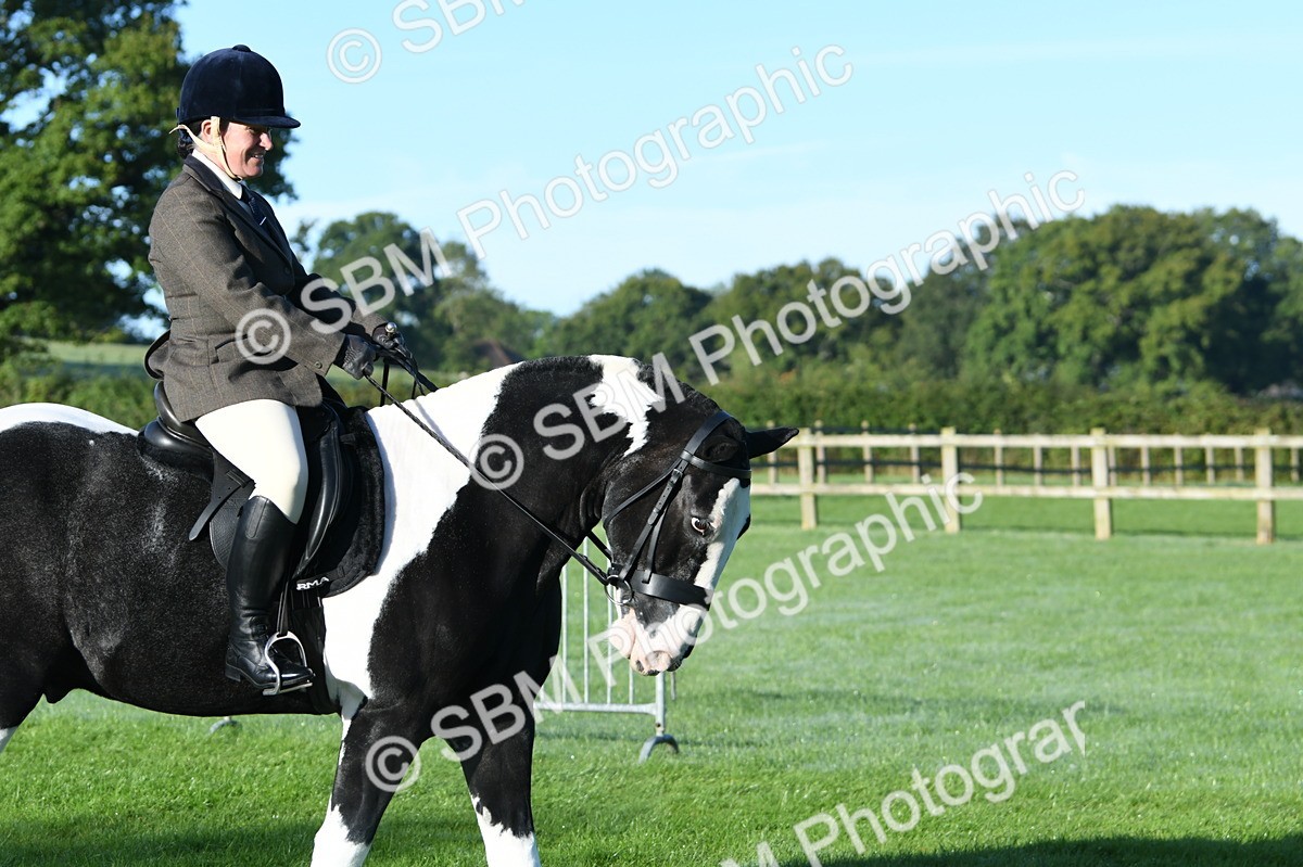 SBM_33876 - S16 - Condition & Turnout - Ridden