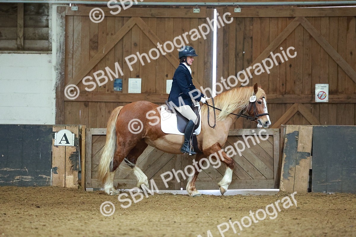 SBM_003636 - Novice 2