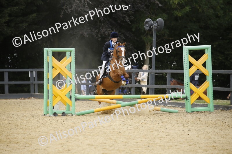 20250622-5824 - 60cm