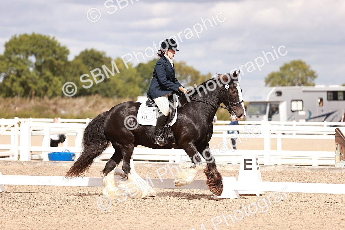 SBM_06203 - Class 37 - Novice 5