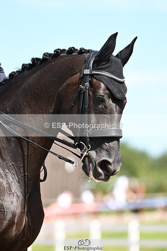 240816A-131208-04995 - 110-Hope.Hayward-Et.LΓÇÖAmour