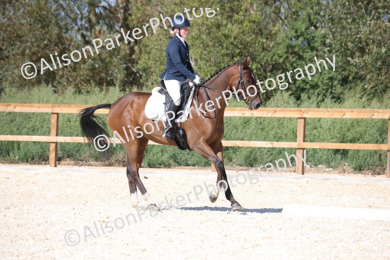 20260905-1478 - Class 5 - Novice 2