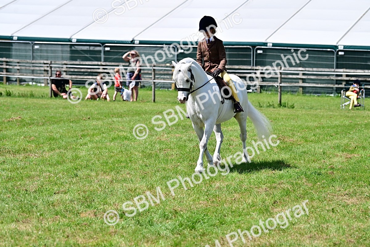 SBM_06054