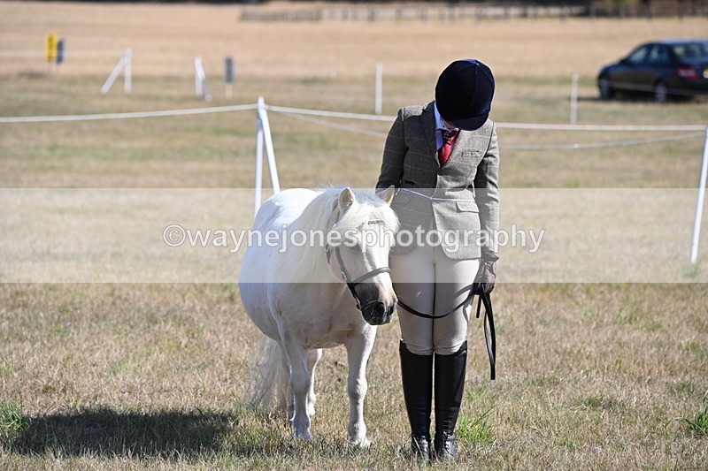 WJ6_4271 - Class 16 Condition & Turn Out