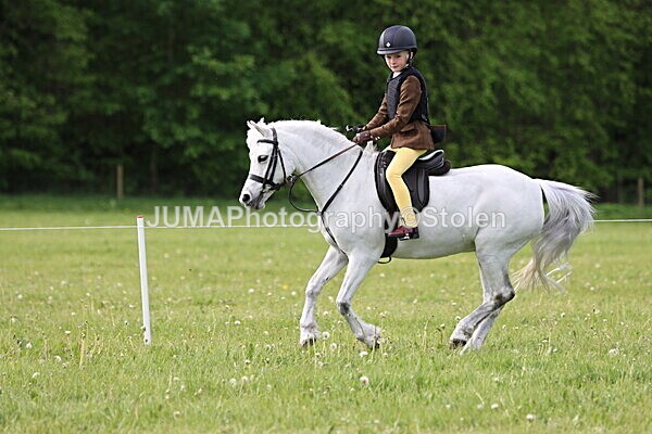 IMG_2233 - Working Hunter