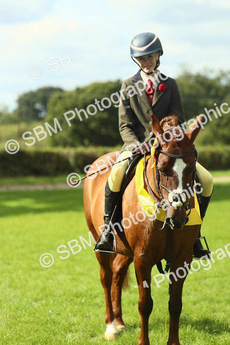 SBM_44982 - Working Hunter Pony Supreme Championship
