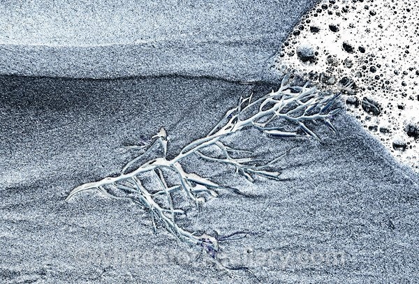  - The Sand Gallery