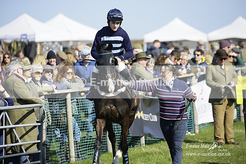 PtP 190322 474 - Wilton Hunt PtP Milborne St Andrew 19/03/22