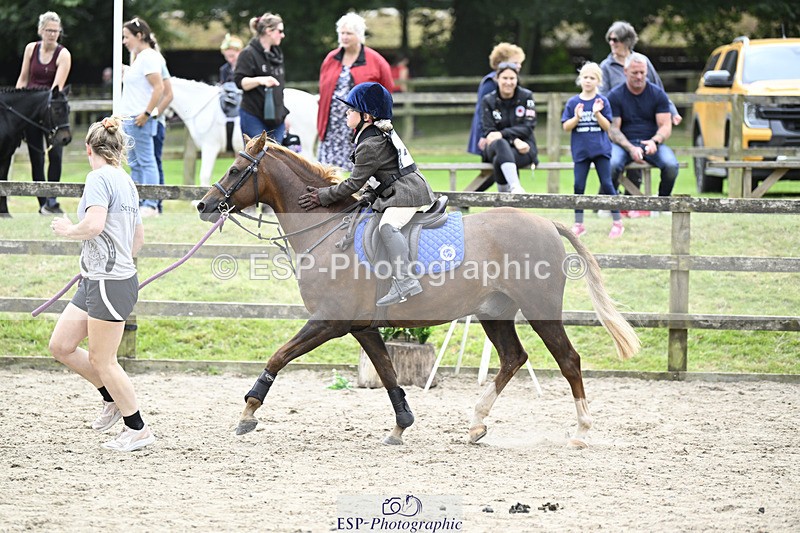 240822X-131304-07952 - 40cm LR R2 13.00 to 15.00