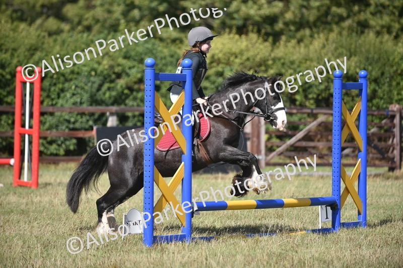 20260906-1688 - Class 9 - Absolute Novice Jumping 45cm