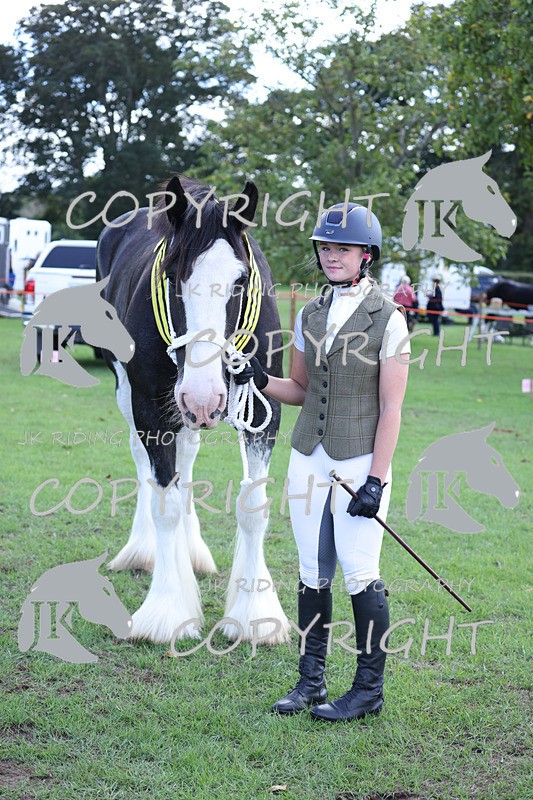 APP_3435 - Class 6 Young Handlers