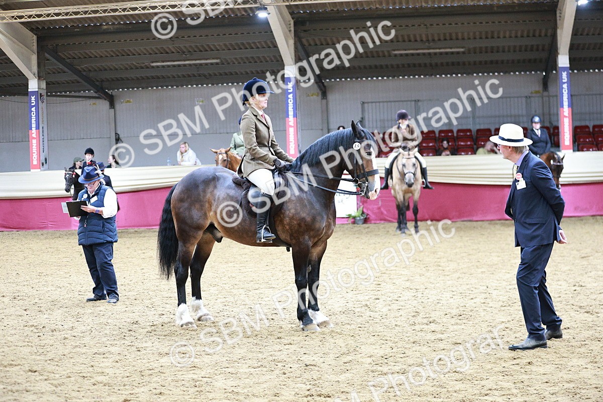 SBM_03584 - Class 6A Area Ridden Pre-Vet