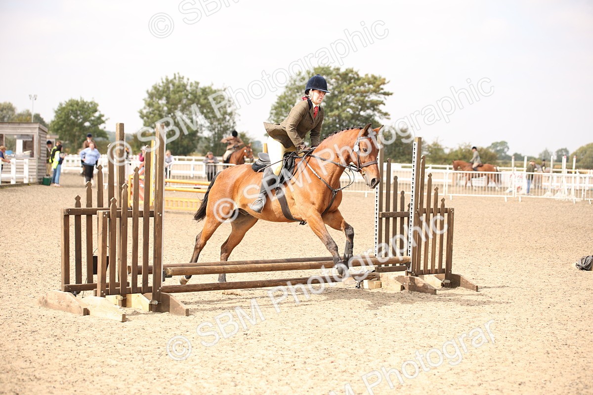 SBM_12910 - Class 406a - Working Veteran 50cm (15-19)