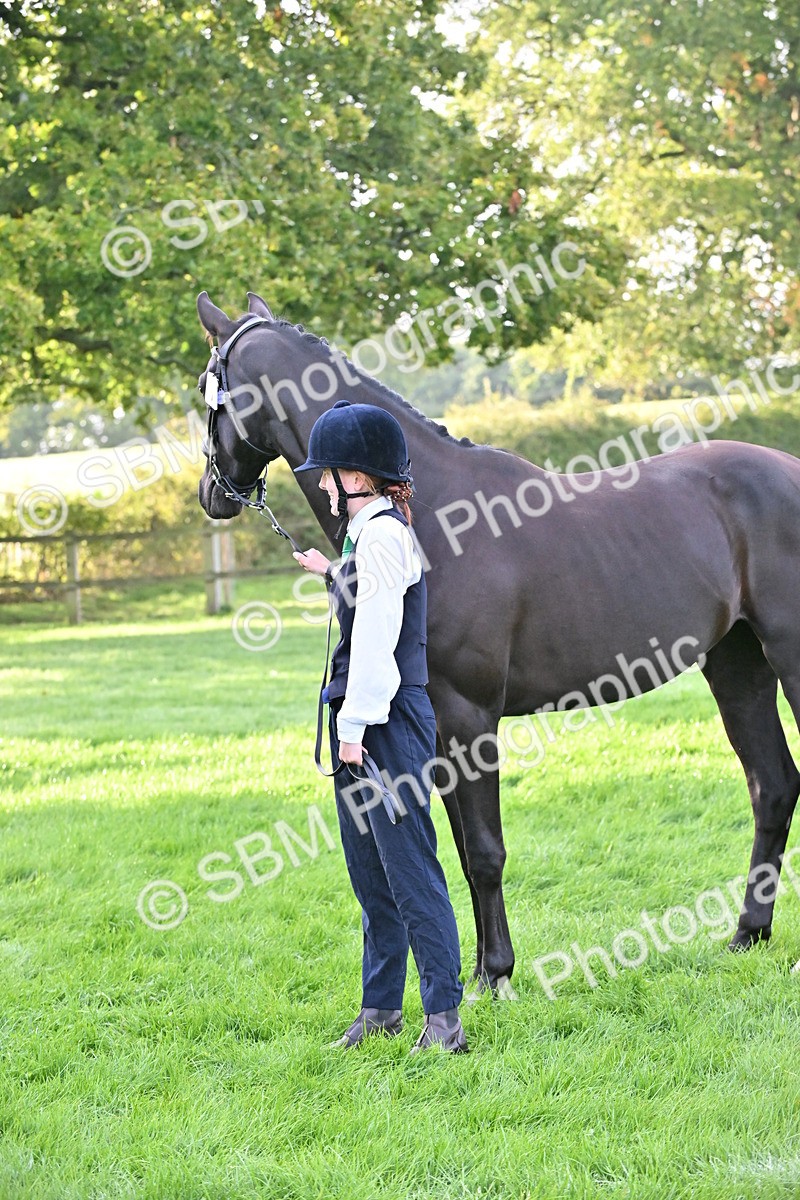 SBM_55349 - S44 - Youngstock In Hand