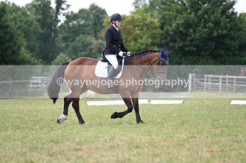 WJ7_5313 - Time 11:22 to 11:51