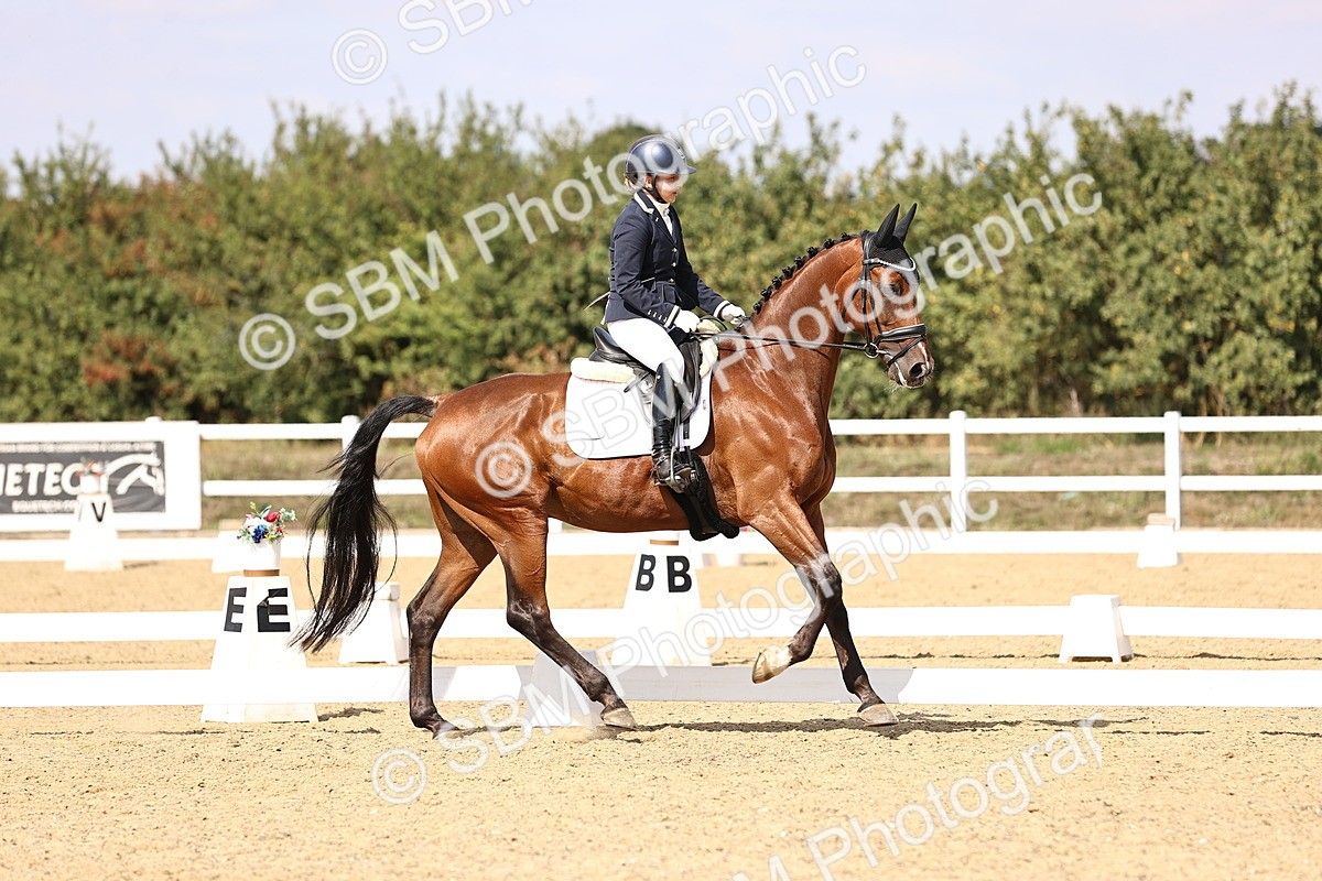 SBM_015064 - Class 6 - Elementary 5