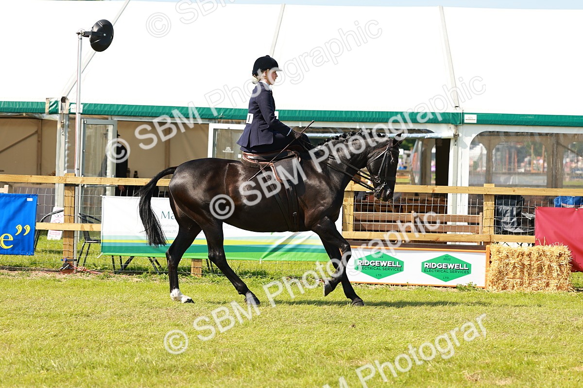 SBM_13147 - Class 70-71 - Side Saddle