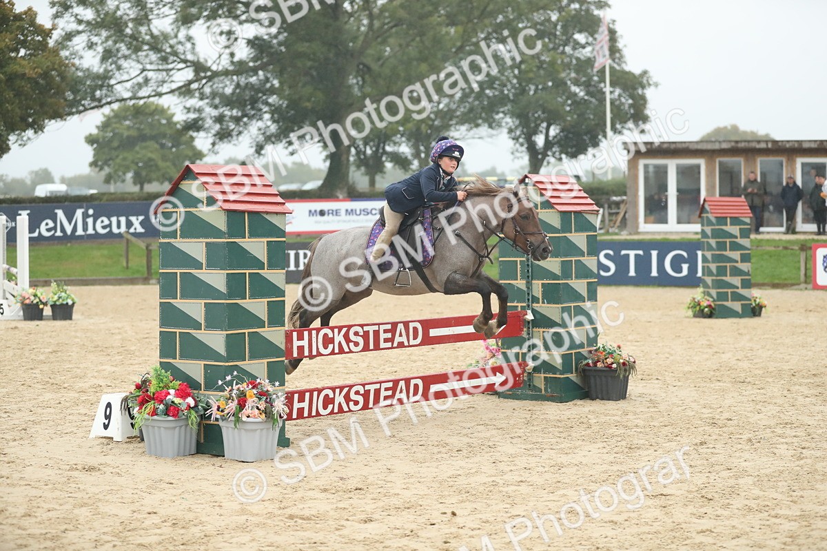 SBM_74252 - Supreme championship Junior Pony 70cm 75cm