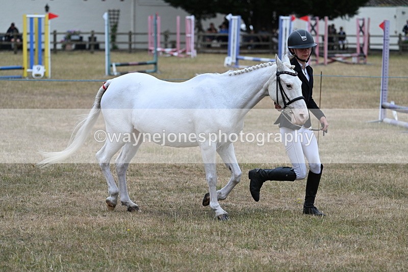 WJ7_8320 - Class 4 Prettiest Mare up to 14.2hh