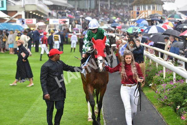 yr21082021r4-37 - Race 4 3.35pm Sky Bet Ebor