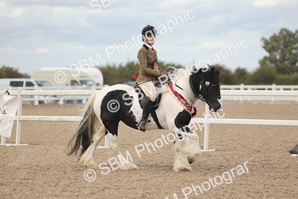 SBM_18090 - Class 314 - Family Horse Pony