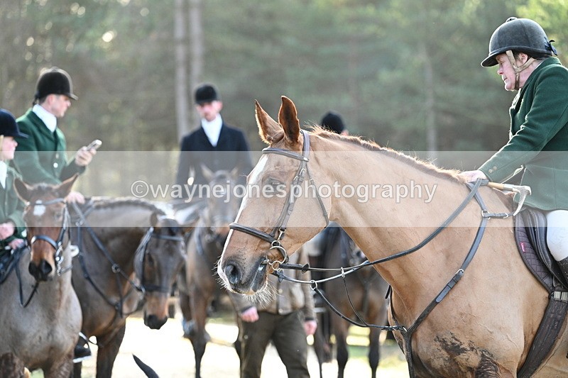 WJ7_7574 - Line 3 (no line 4 or 5)