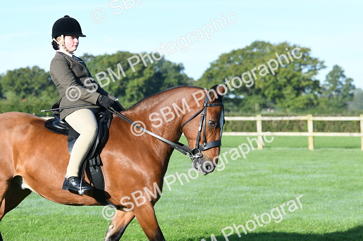SBM_33874 - S16 - Condition & Turnout - Ridden